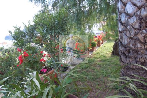 Villa i Ospedaletti, Imperia, Ospedaletti - € 1.300.000 | Ref: iv1083 - foto 6
