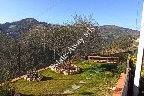 Villa a Soldano, Imperia, Soldano - € 330.000 | Ref: iv1104 - foto 8