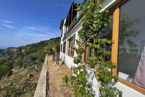 Villa a Vallebona, Imperia, Vallebona - € 430.000 | Ref: iv1185 - foto 5