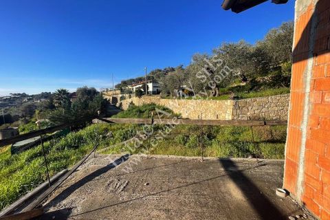 Villa i Bordighera, Imperia, Bordighera - € 350.000 | Ref: iv1207 - foto 11