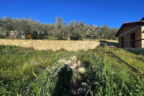 Villa i Bordighera, Imperia, Bordighera - € 350.000 | Ref: iv1207 - foto 19