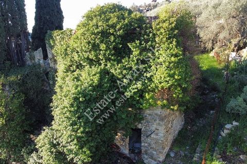 Landejendom i Bordighera, Imperia, Bordighera - € 210.000 | Ref: iv1208 - foto 3