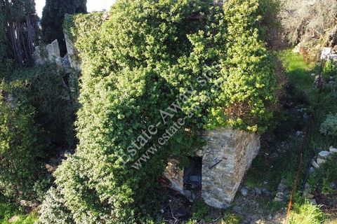 Landejendom i Bordighera, Imperia, Bordighera - € 210.000 | Ref: iv1208 - foto 5