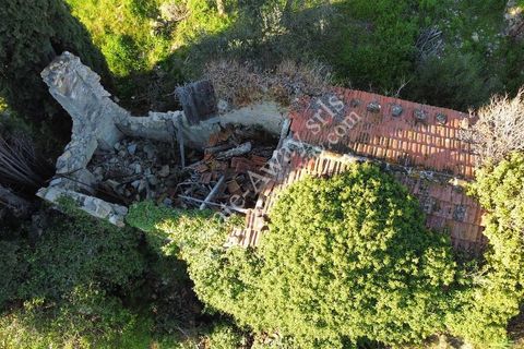 Landejendom i Bordighera, Imperia, Bordighera - € 210.000 | Ref: iv1208 - foto 6