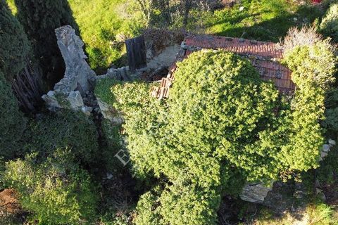 Landejendom i Bordighera, Imperia, Bordighera - € 210.000 | Ref: iv1208 - foto 7