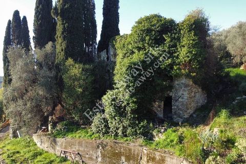 Landejendom i Bordighera, Imperia, Bordighera - € 210.000 | Ref: iv1208 - foto 9
