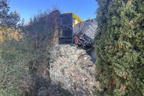 Landejendom i Bordighera, Imperia, Bordighera - € 210.000 | Ref: iv1208 - foto 11