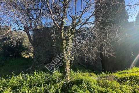 Landejendom i Bordighera, Imperia, Bordighera - € 210.000 | Ref: iv1208 - foto 13