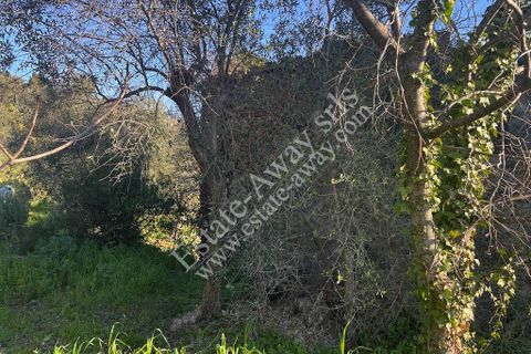 Landejendom i Bordighera, Imperia, Bordighera - € 210.000 | Ref: iv1208 - foto 14