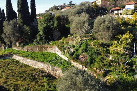 Landejendom i Bordighera, Imperia, Bordighera - € 210.000 | Ref: iv1208 - foto 15
