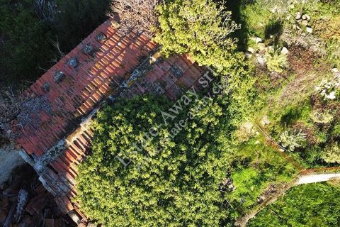 Landejendom i Bordighera, Imperia, Bordighera - € 210.000 | Ref: iv1208 - foto 16
