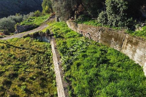 Landejendom i Bordighera, Imperia, Bordighera - € 210.000 | Ref: iv1208 - foto 17