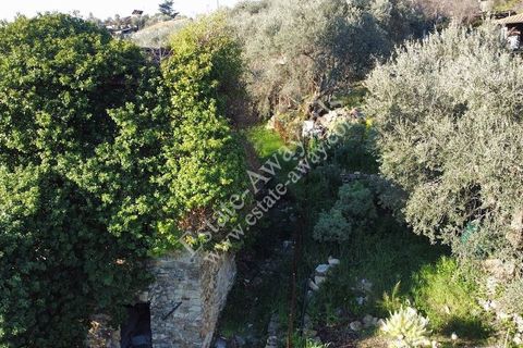 Landejendom i Bordighera, Imperia, Bordighera - € 210.000 | Ref: iv1208 - foto 19