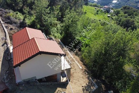 Villa i Vallebona, Imperia, Vallebona - € 290.000 | Ref: iv1219 - foto 3