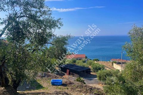 Terra a Cipressa, Imperia, Cipressa - € 230.000 | Ref: iv1228 - foto 2