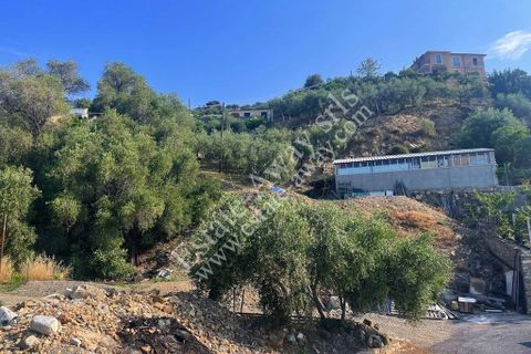 Terra a Cipressa, Imperia, Cipressa - € 230.000 | Ref: iv1228 - foto 7