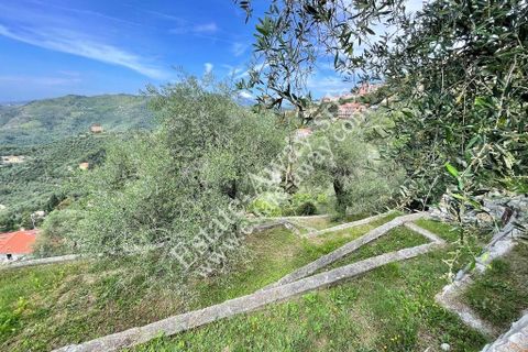 Villa a Perinaldo, Imperia, Perinaldo - € 495.000 | Ref: iv1232 - foto 23