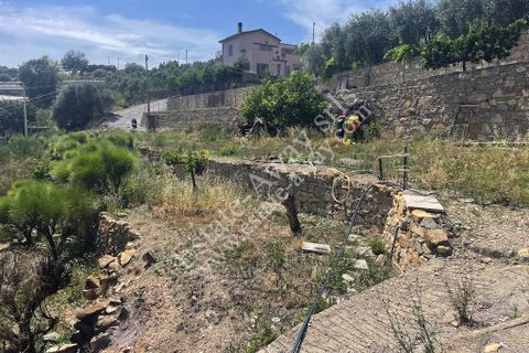 Landejendom i Bordighera, Imperia, Bordighera - € 170.000 | Ref: iv1237 - foto 4
