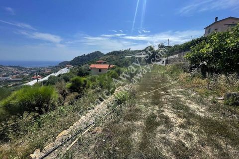 Landejendom i Bordighera, Imperia, Bordighera - € 170.000 | Ref: iv1237 - foto 8