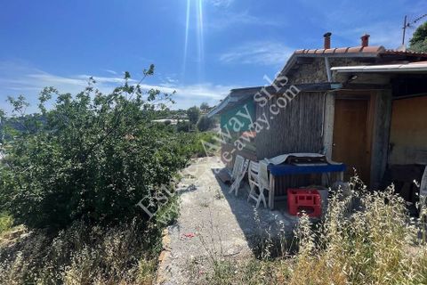 Landejendom i Bordighera, Imperia, Bordighera - € 170.000 | Ref: iv1237 - foto 14