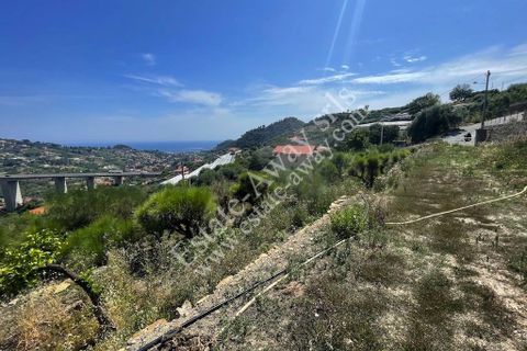Landejendom i Bordighera, Imperia, Bordighera - € 170.000 | Ref: iv1237 - foto 15
