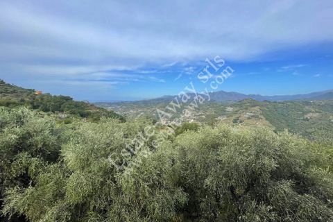 Villa a Soldano, Imperia, Soldano - € 110.000 | Ref: iv1241 - foto 5