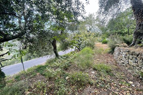 Villa a Soldano, Imperia, Soldano - € 110.000 | Ref: iv1241 - foto 17
