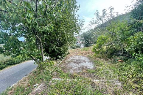 Villa a Soldano, Imperia, Soldano - € 110.000 | Ref: iv1241 - foto 18