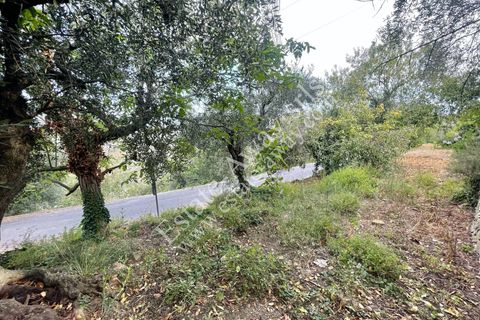 Villa a Soldano, Imperia, Soldano - € 110.000 | Ref: iv1241 - foto 19