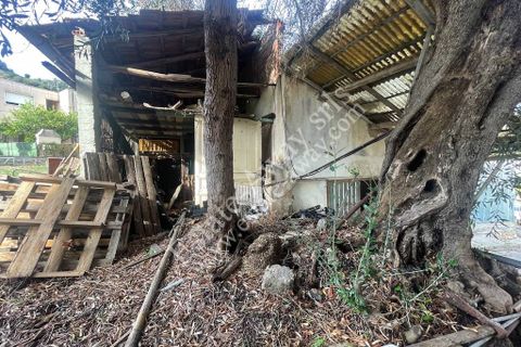 Helårsgrund i Ospedaletti, Imperia, Ospedaletti - € 800.000 | Ref: iv1248 - foto 8