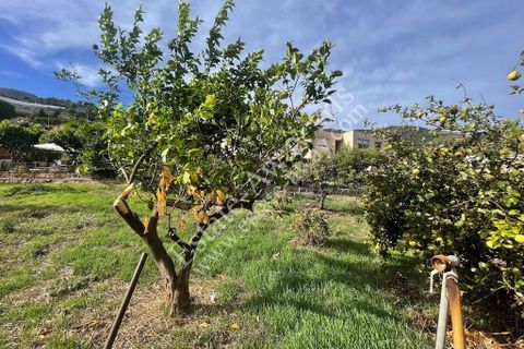 Helårsgrund i Ospedaletti, Imperia, Ospedaletti - € 800.000 | Ref: iv1248 - foto 9