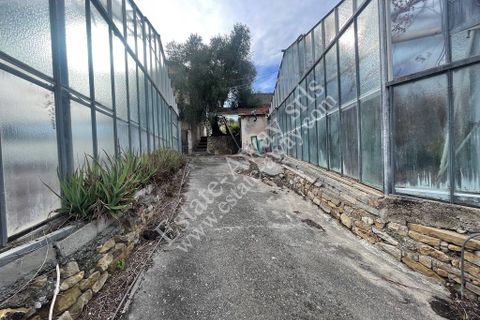 Helårsgrund i Ospedaletti, Imperia, Ospedaletti - € 800.000 | Ref: iv1248 - foto 11