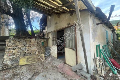 Helårsgrund i Ospedaletti, Imperia, Ospedaletti - € 800.000 | Ref: iv1248 - foto 16