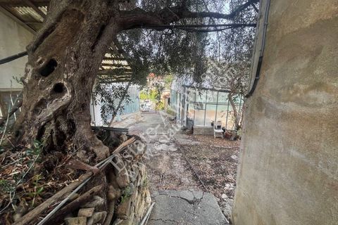 Helårsgrund i Ospedaletti, Imperia, Ospedaletti - € 800.000 | Ref: iv1248 - foto 19