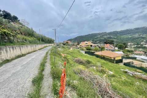Terra a Camporosso, Imperia, Camporosso - € 90.000 | Ref: iv1283 - foto 2
