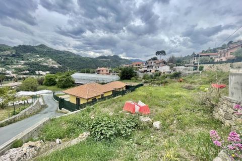 Terra a Camporosso, Imperia, Camporosso - € 90.000 | Ref: iv1283 - foto 3