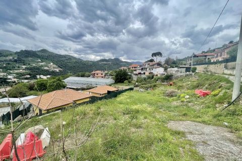 Terra a Camporosso, Imperia, Camporosso - € 90.000 | Ref: iv1283 - foto 4