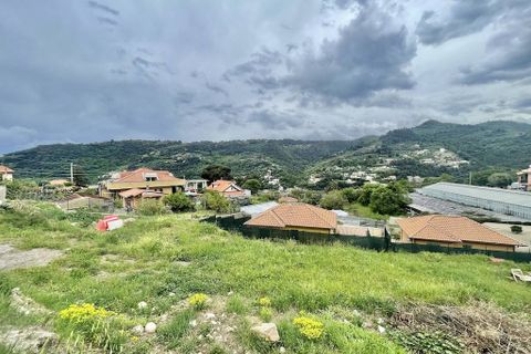 Terra a Camporosso, Imperia, Camporosso - € 90.000 | Ref: iv1283 - foto 5