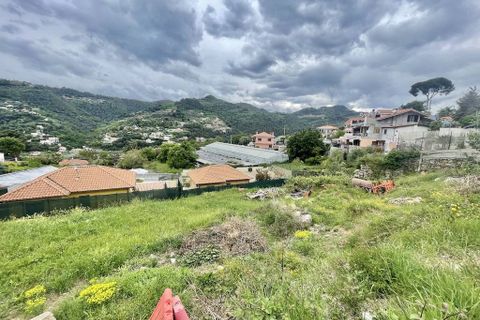 Terra a Camporosso, Imperia, Camporosso - € 90.000 | Ref: iv1283 - foto 6