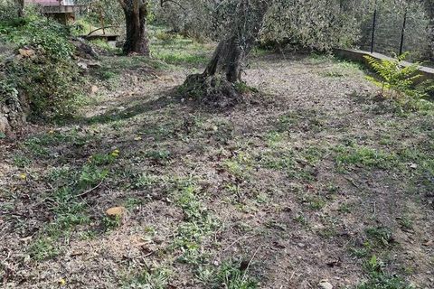 Villa i Imperia, Imperia, Imperia - € 279.000 | Ref: iv1287 - foto 9