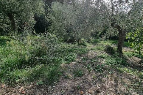 Villa i Imperia, Imperia, Imperia - € 279.000 | Ref: iv1287 - foto 10