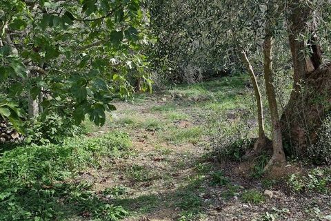 Villa i Imperia, Imperia, Imperia - € 279.000 | Ref: iv1287 - foto 17