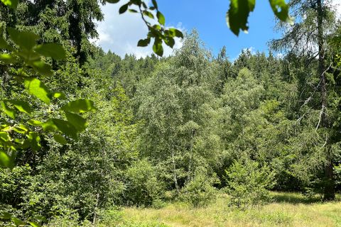 Terra a Collio, Brescia, Collio - € 159.000 | Ref: ATL01.004 - foto 6