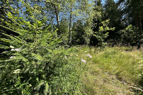 Terra a Collio, Brescia, Collio - € 159.000 | Ref: ATL01.004 - foto 11