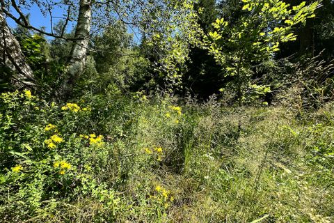 Terra a Collio, Brescia, Collio - € 159.000 | Ref: ATL01.004 - foto 12