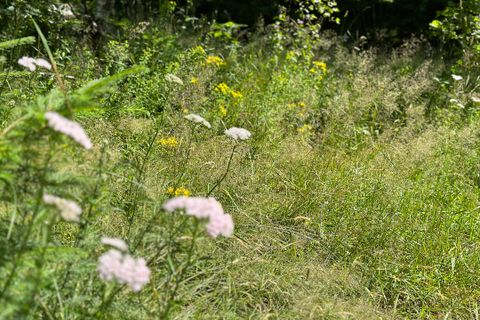 Terra a Collio, Brescia, Collio - € 159.000 | Ref: ATL01.004 - foto 14