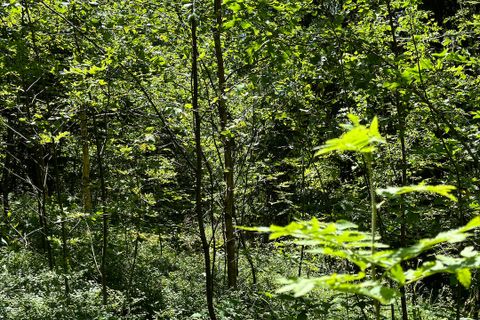 Terra a Collio, Brescia, Collio - € 159.000 | Ref: ATL01.004 - foto 15