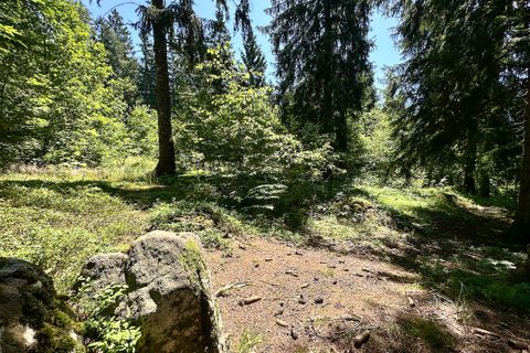 Terra a Collio, Brescia, Collio - € 159.000 | Ref: ATL01.004 - foto 17