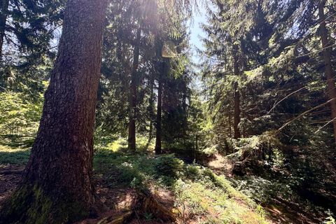 Terra a Collio, Brescia, Collio - € 159.000 | Ref: ATL01.004 - foto 18