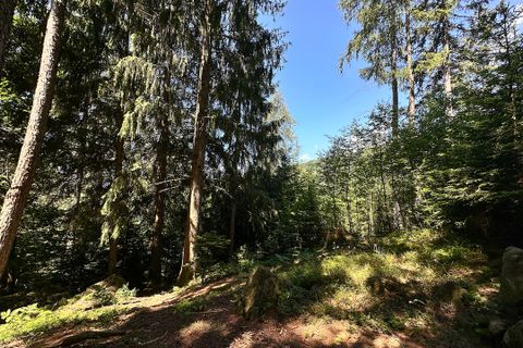 Terra a Collio, Brescia, Collio - € 159.000 | Ref: ATL01.004 - foto 19